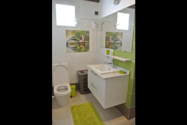 Salle d'eau attenante 2 (douche à l'italienne)