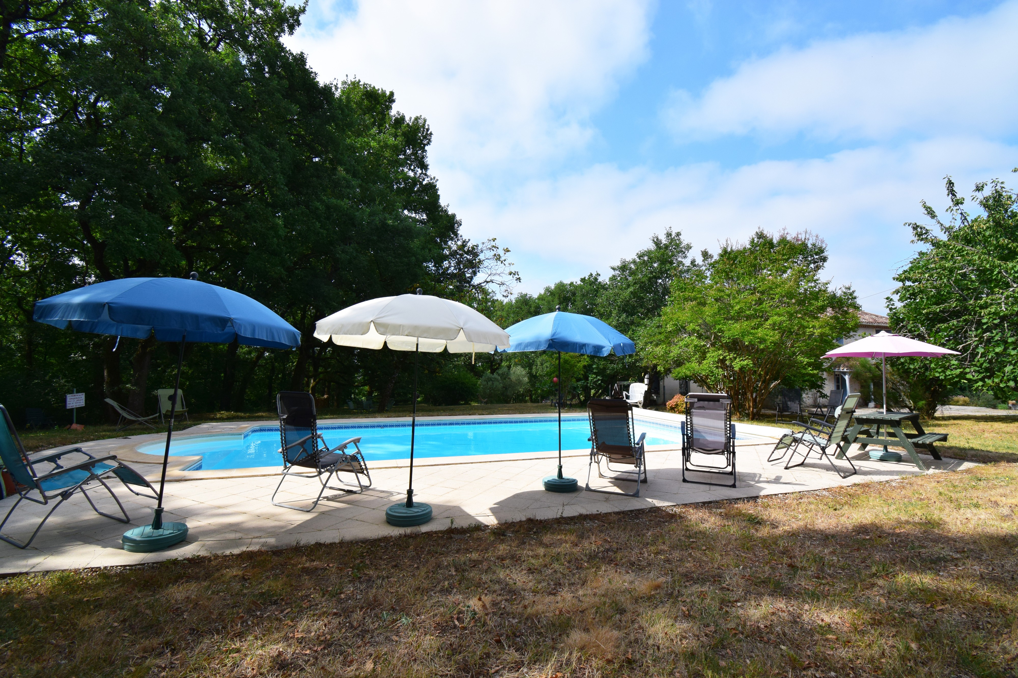 Jardin piscine
