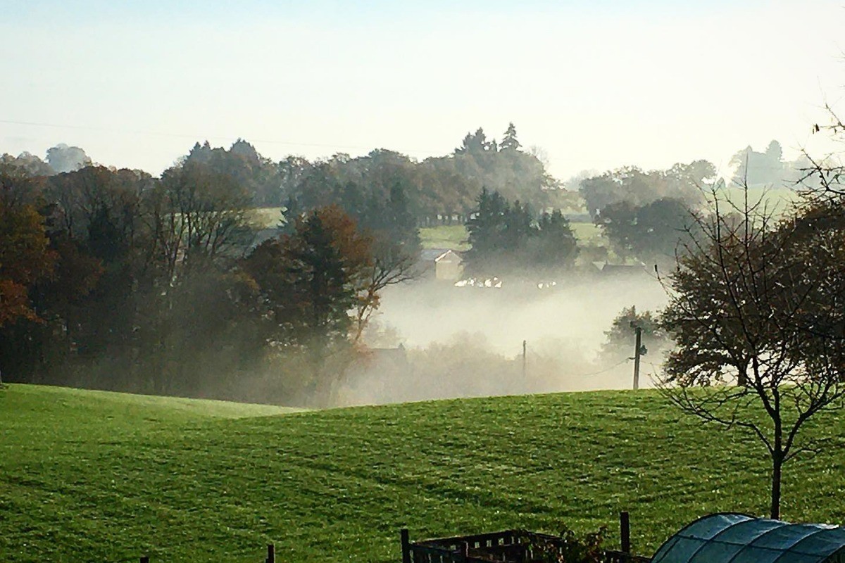 View on fields