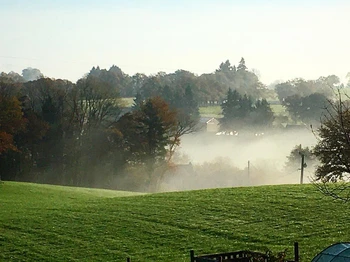 View on fields