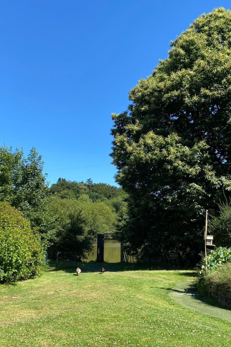 Photo n° 20 de la location