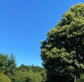 Photo n° 20 of the location