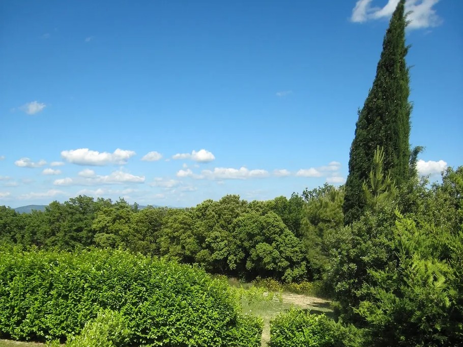 Private outdoor garden