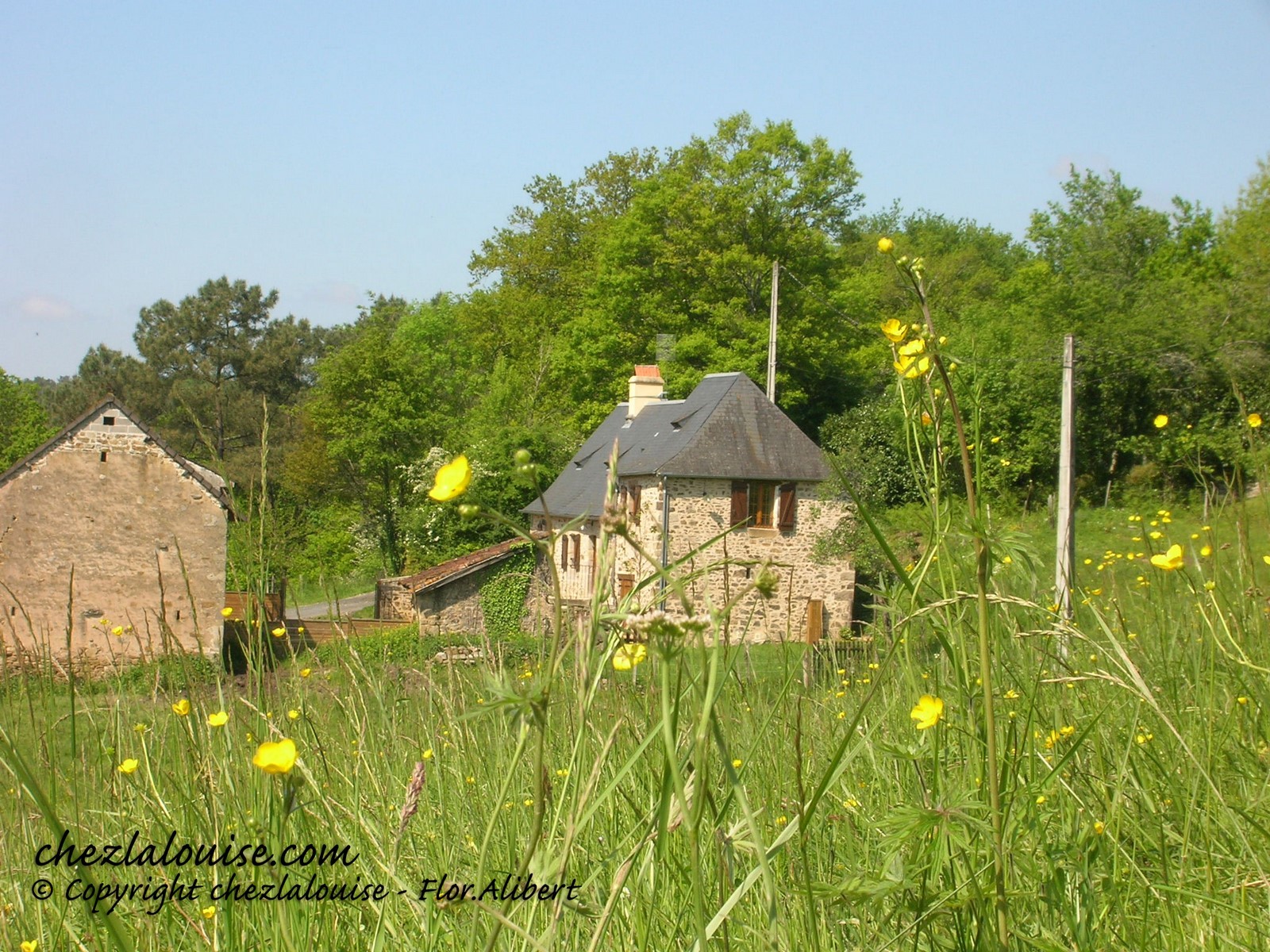 Photo n° 6 of the location