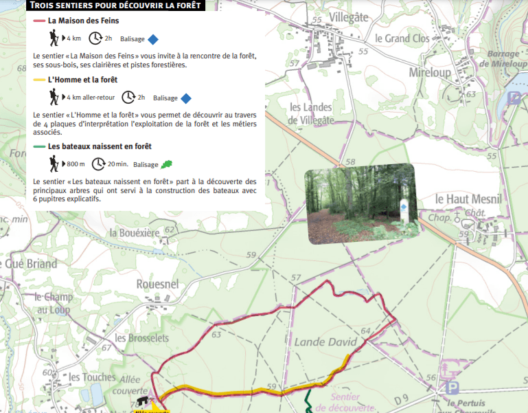 Carte de la Forêt domaniale du Mesnil et circuits de randonnées. Le Tronchet