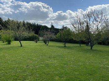 Photo n° 13 of the location