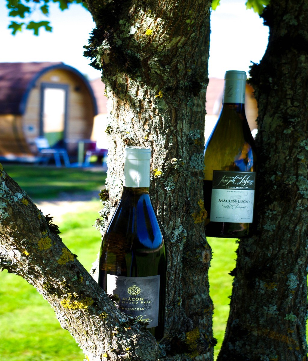 Photo n° 16 de la location