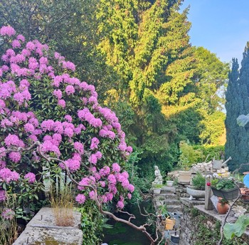 Domaine du Mélèze - Espace extérieur