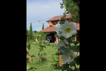 Photo n° 10 de la location