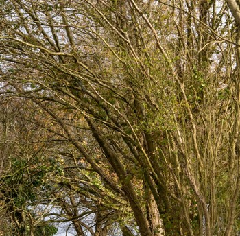 sentier de randonnée derrière le domaine