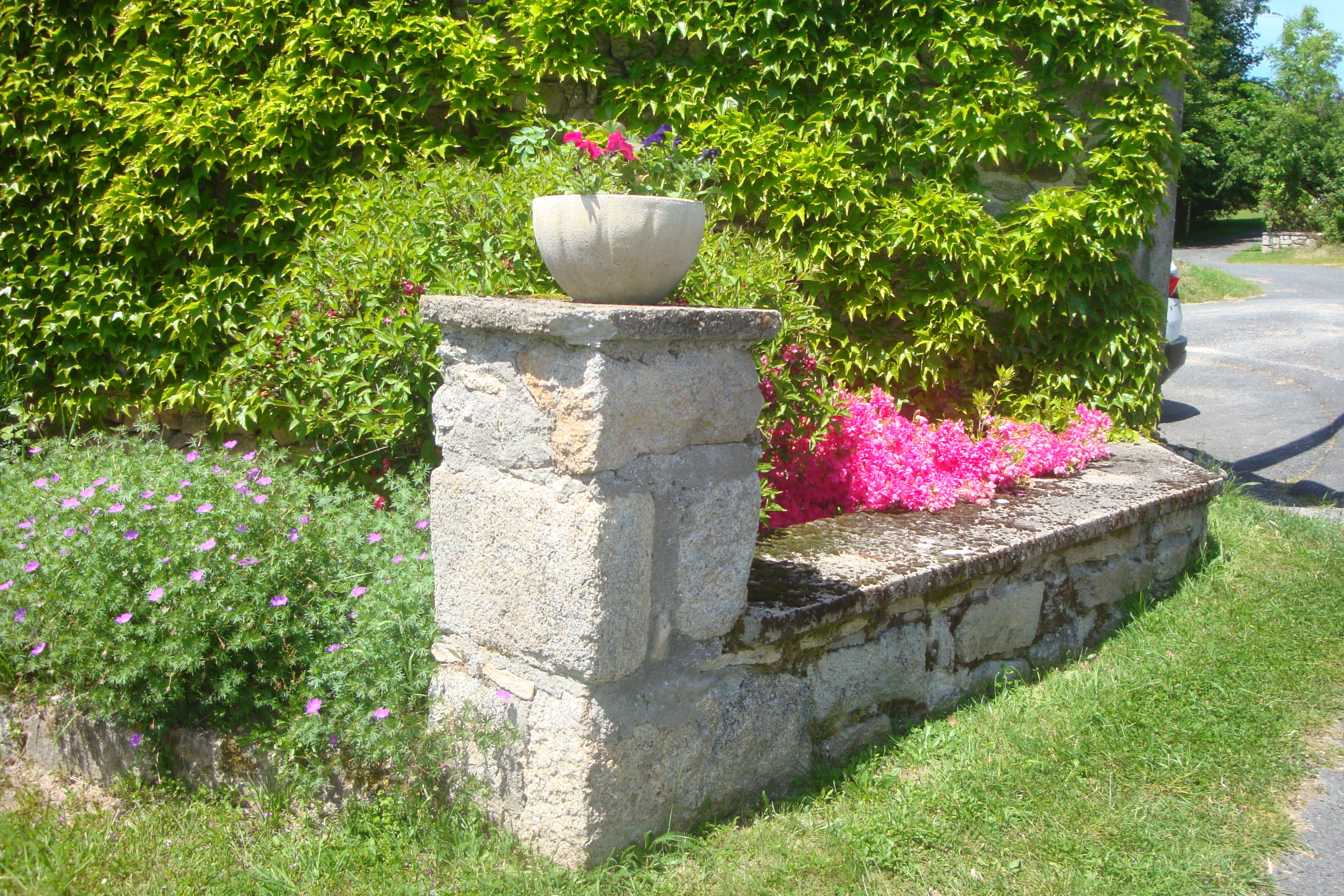 Photo n° 12 de la location