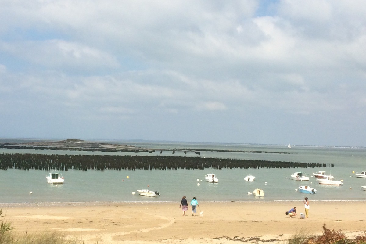 Les bouchots
