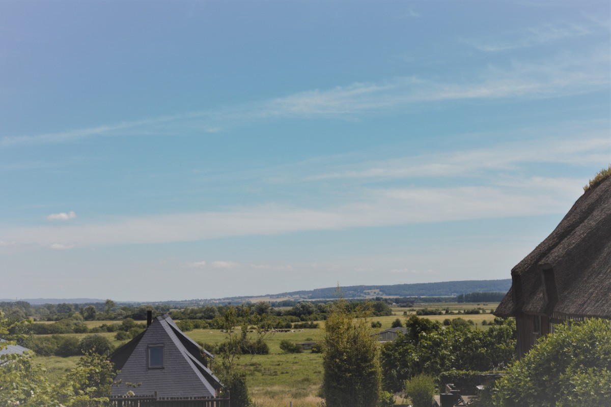 L'écrin de verdure ou je me trouve !