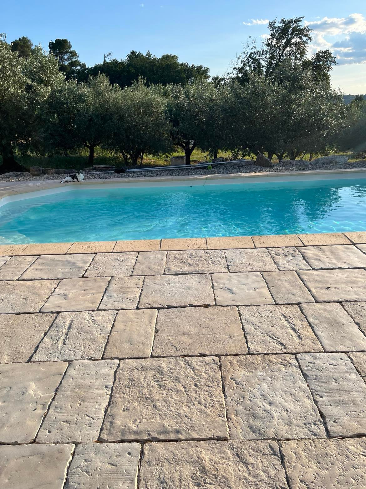 piscine vue de notre terrasse
