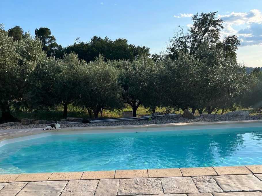 piscine vue de notre terrasse
