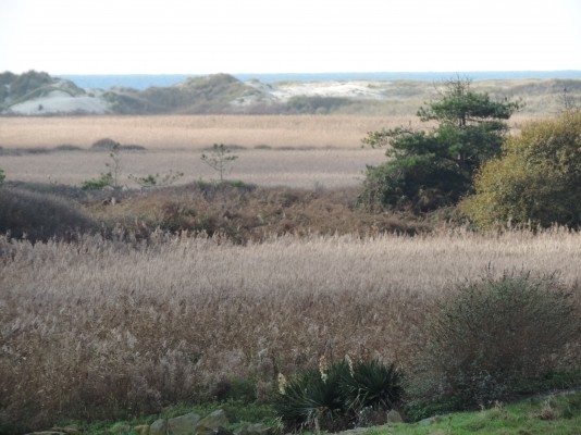 Photo n° 12 of the location