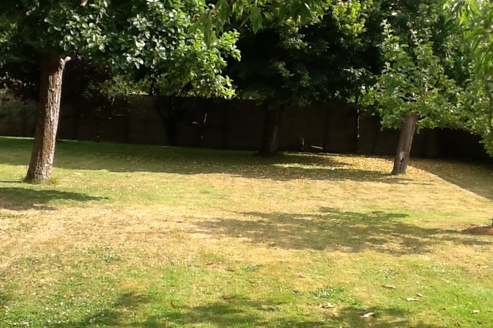 Photo n° 6 de la location