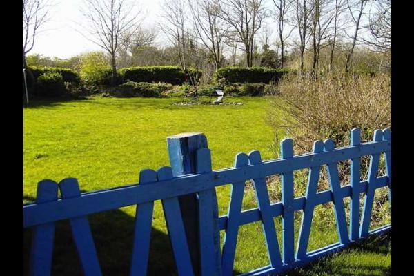 jardin en hiver