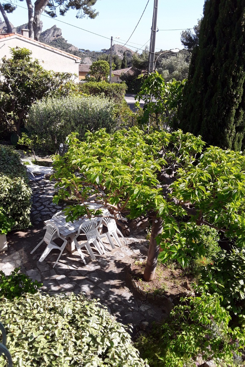 Jardin