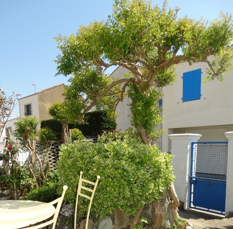 Photo n° 3 de la location