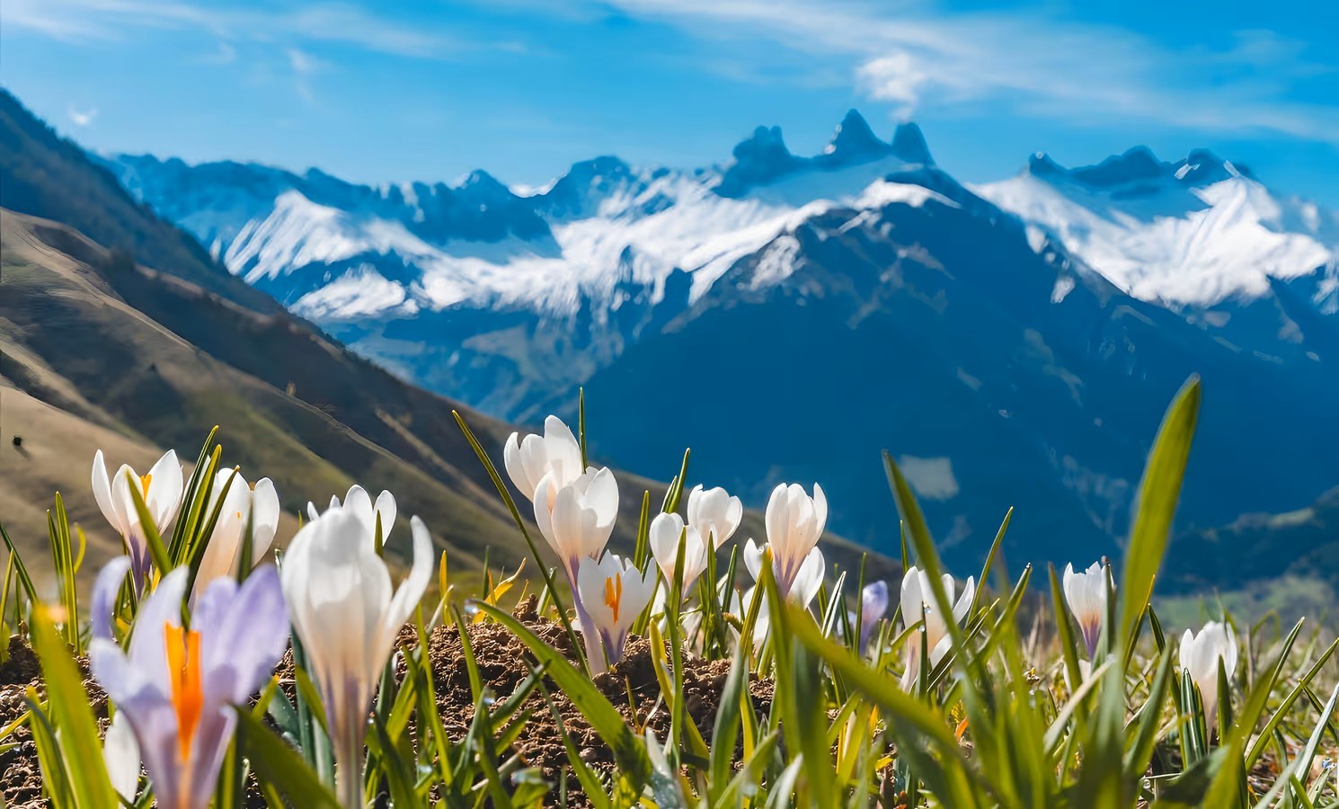 Photo n° 16 de la location