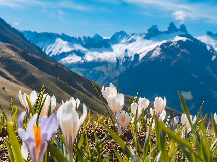 Photo n° 16 de la location