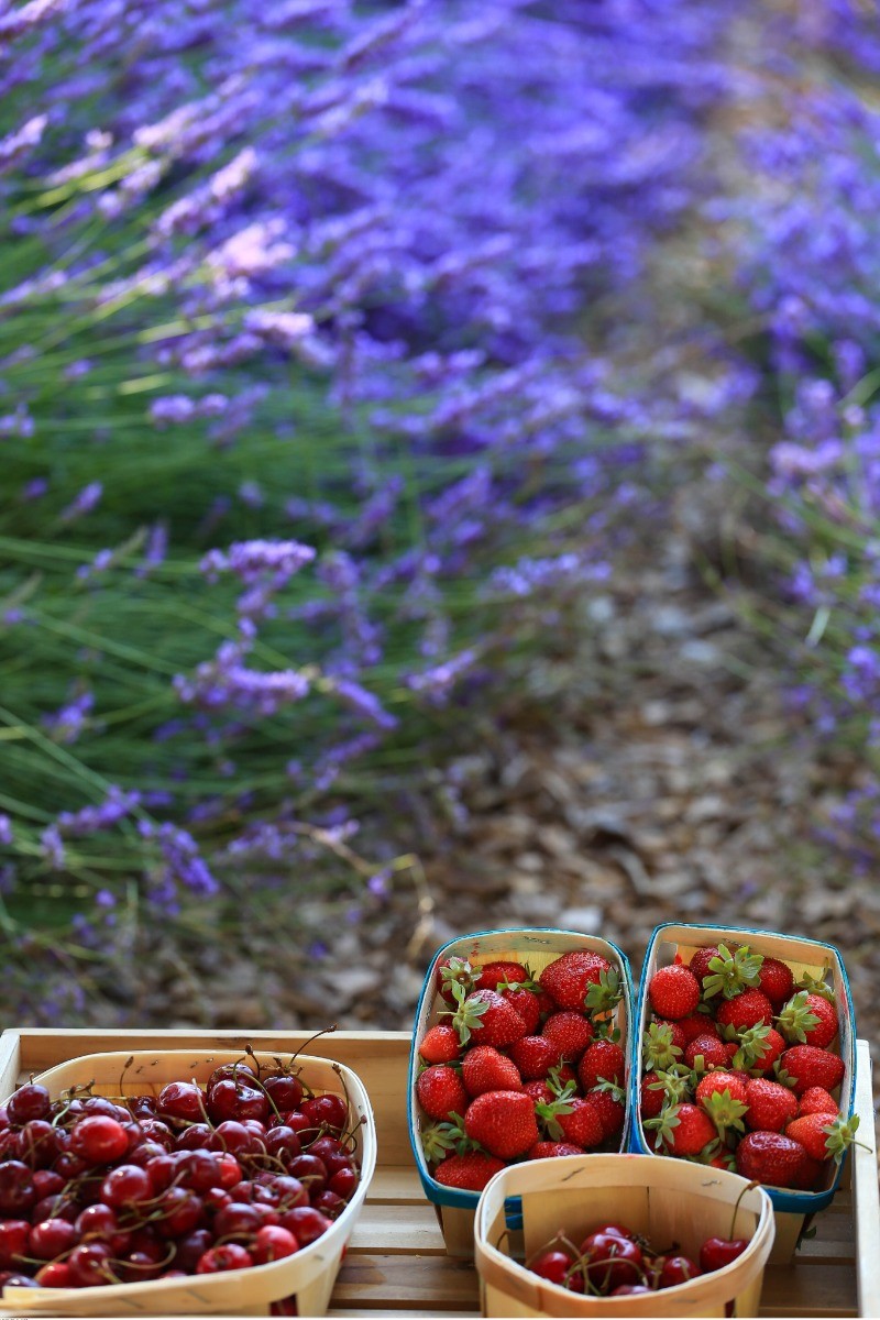 Produits du terroir©A.Hocquel/VPA