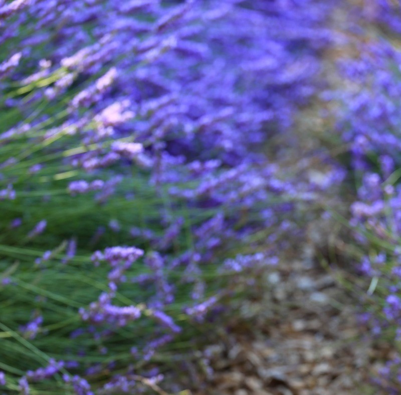 Produits du terroir©A.Hocquel/VPA