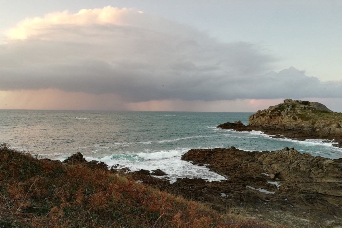La nature