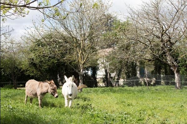 Photo n° 14 de la location