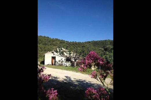 Image n° 1 de la location
