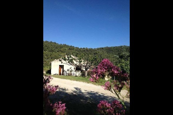 Photo n° 1 of the location