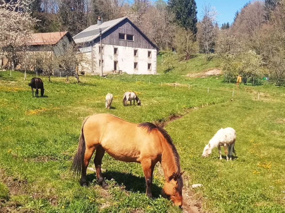 Gîtes Refuge de Création Saulxures-sur-Moselotte