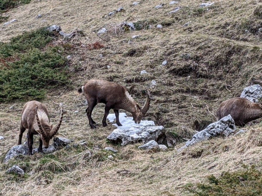 Photo n° 19 of the location