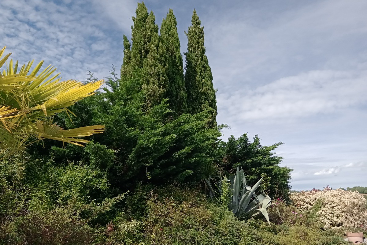Photo n° 8 de la location