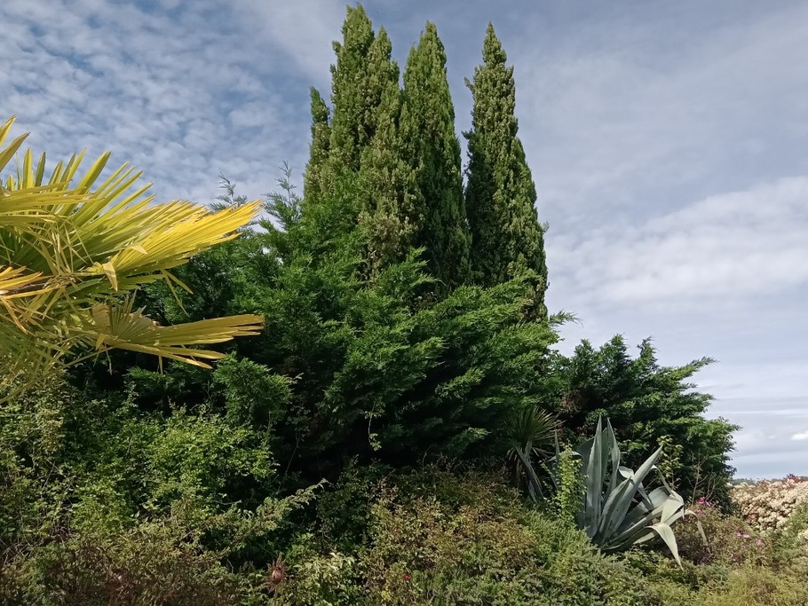 Photo n° 8 de la location