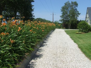 Photo n° 4 de la location