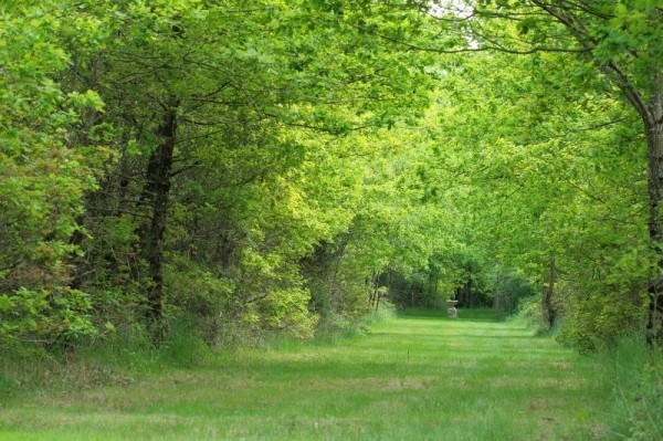 Photo n° 16 de la location