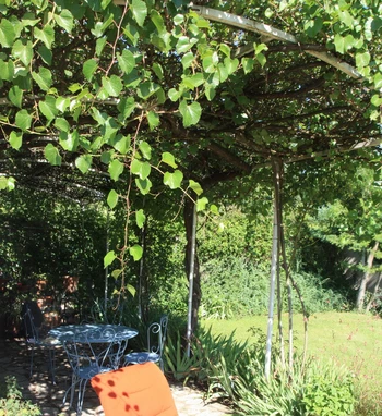Jardin