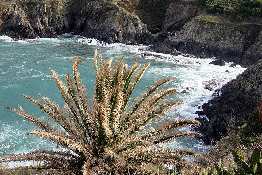 Crique Mauresque  accessible à pied depuis l'appartement