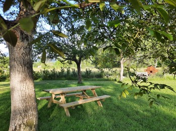 Photo n° 13 de la location