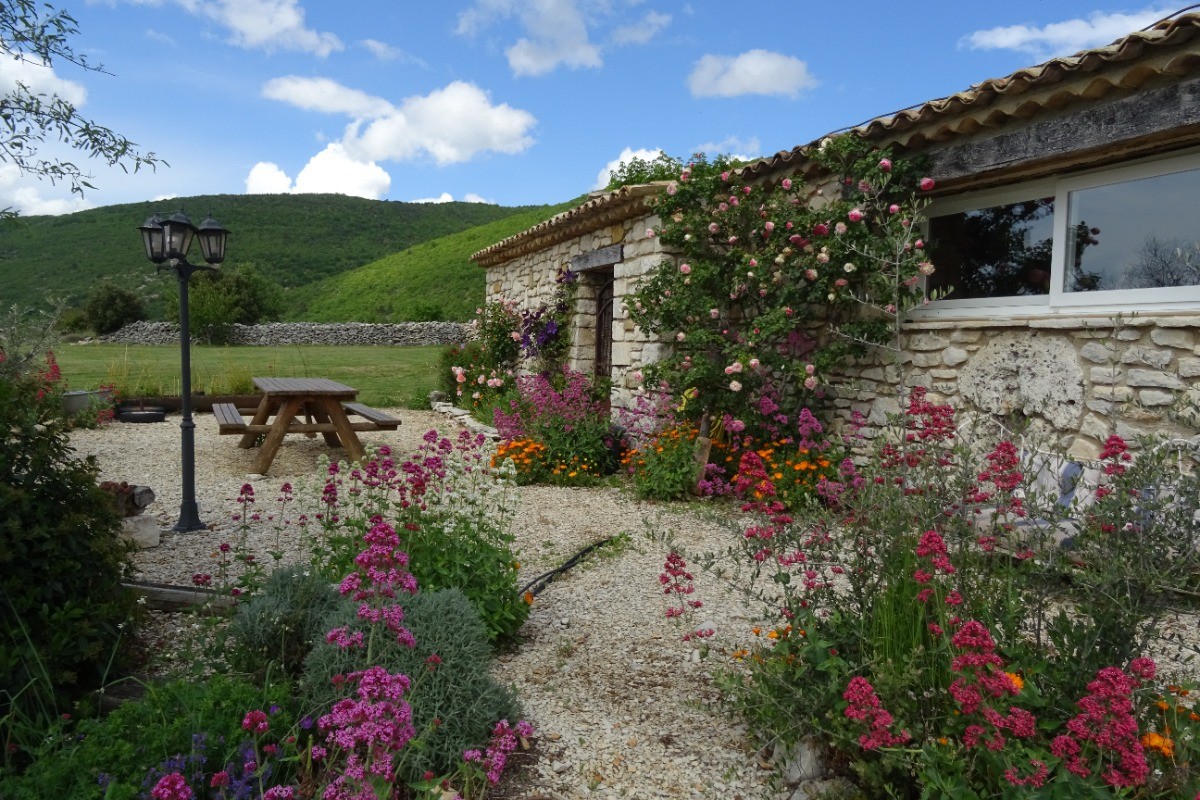 LA TERRASSE EXTERIEURE DE L'OLIVIER