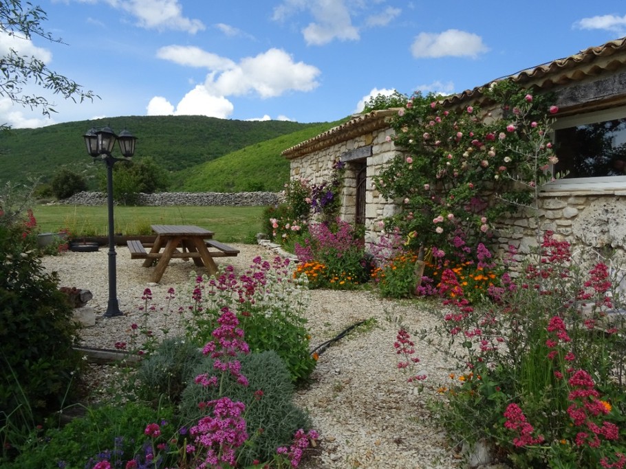 LA TERRASSE EXTERIEURE DE L'OLIVIER