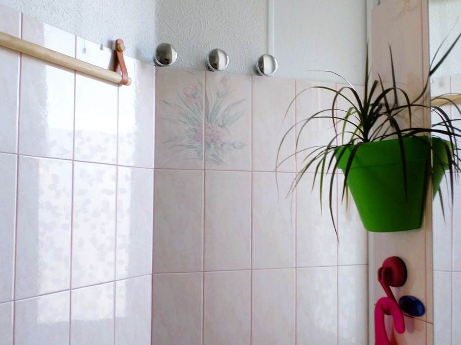 Salle d'eau avec douche. WC séparés.