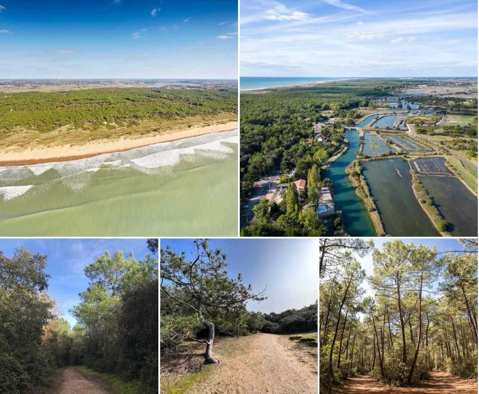 Photo n° 17 de la location