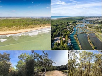 Photo n° 17 of the location