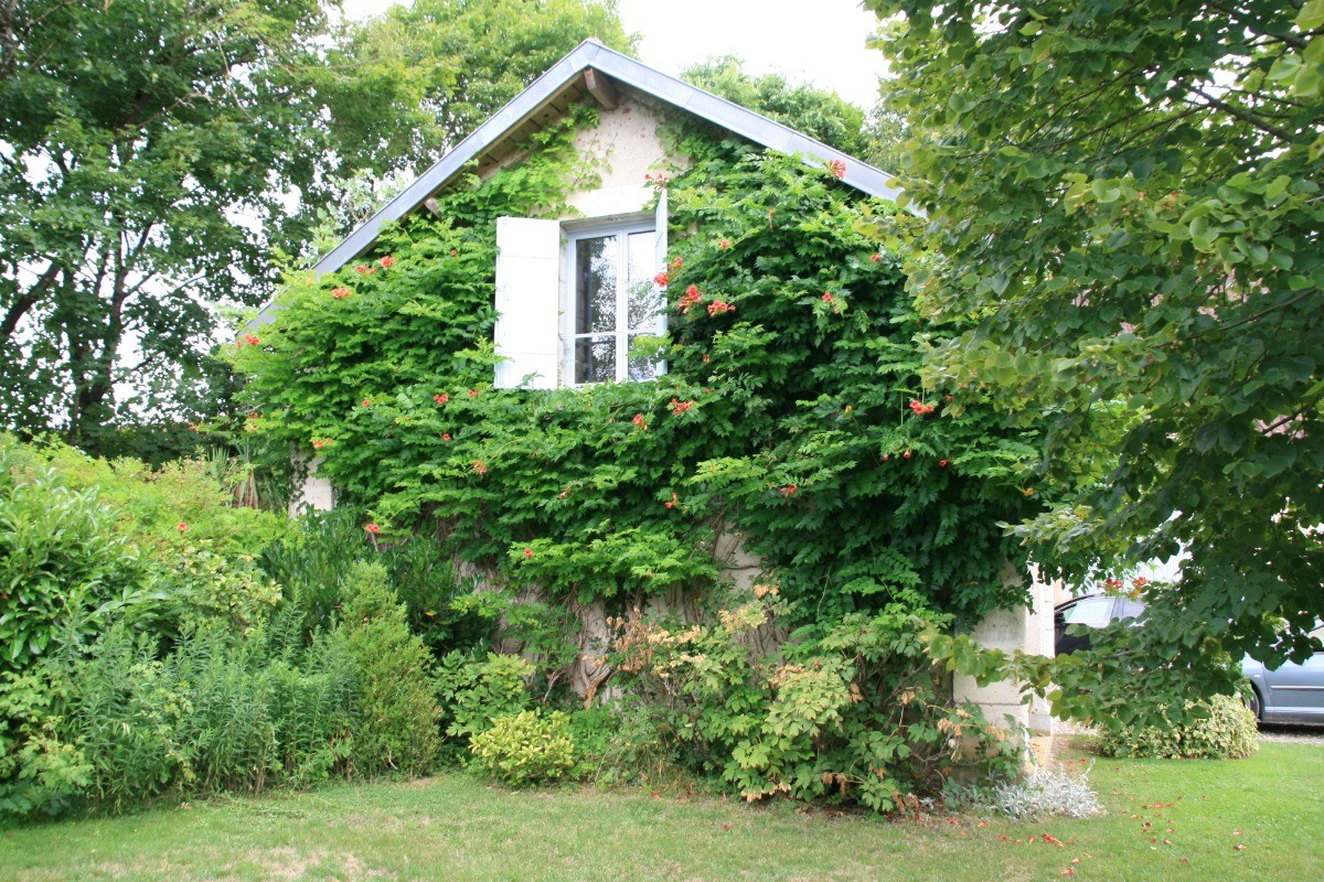 Fenêtre de votre chambre avec vue sur les bergeries
