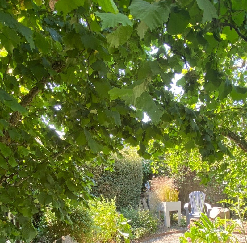 Photo n° 4 of the location
