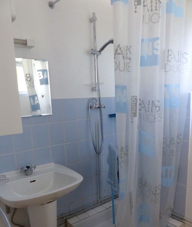 Salle de bain avec douche et WC.