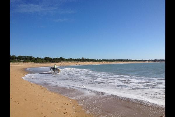 plage